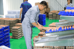 <b>田间到餐桌：走进巧农赞揭秘高质量农产</b>