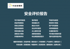 2025-2031年全球及中国南非投资现状阐发及