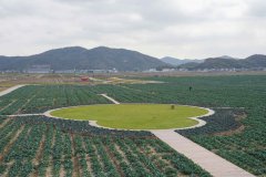 高质量成长调研行丨浙江岱山：聪慧农业