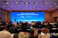 中国（山东）—南非财产合做对接会举行