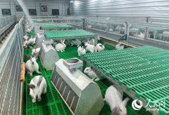 从农田到餐桌 河南建牢食物平安防地