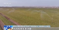 “牛脸识别”帮力农业安全 财产成长无效