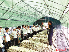 <b>驻马店市农科院联袂东祥小学开展农业科</b>